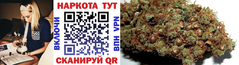 Магазин наркотиков Егорьевск ГАШ АМФ КОКАИН МЕФ БУТИРАТ omg tor Галлюциногенные грибы Конопля