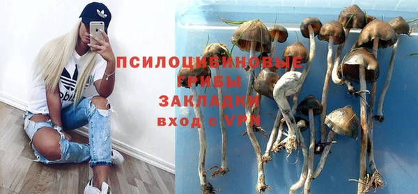 прущая мука Бронницы