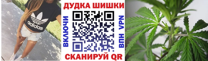 Бошки марихуана конопля  Егорьевск 